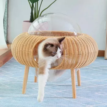 All-Season Cat Nest Bed Guide: Cozy, Calm Naps
